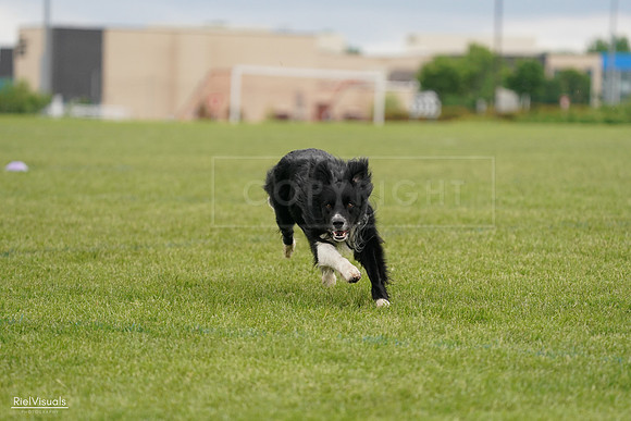 RielVisuals_20240527_131943_SJR09412