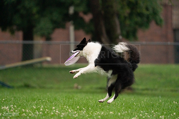 RielVisuals_20240722_194013_SJR01740