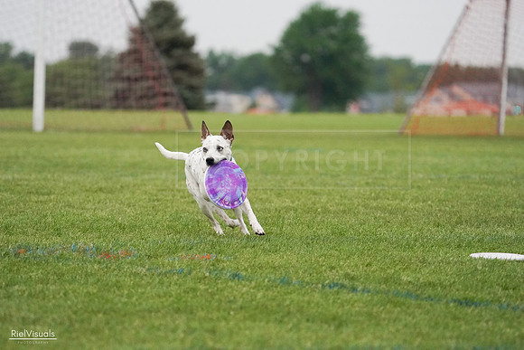 RielVisuals_20240527_092938_SJR07581