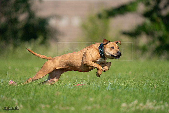 RielVisuals_20240727_093037_SJR06533