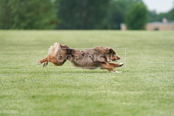 RielVisuals_20240525_163501_SJR04902