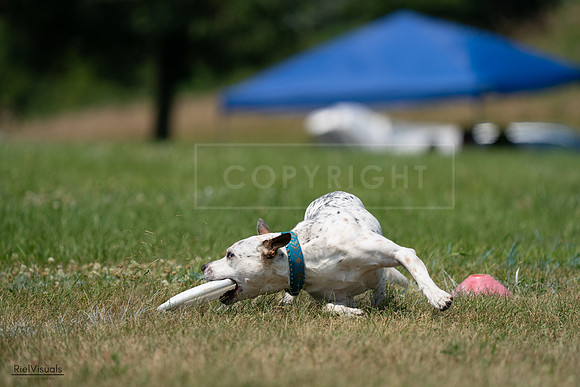 RielVisuals_20240727_134620_SJR08366