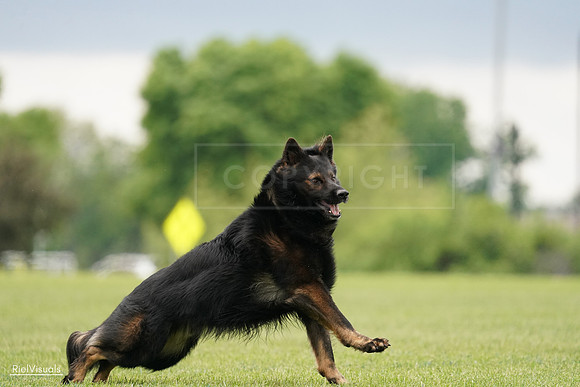 RielVisuals_20240527_132927_SJR09969