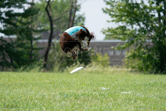 RielVisuals_20240728_144738_SJR09183