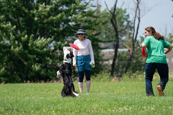 RielVisuals_20240727_133252_SJR07641