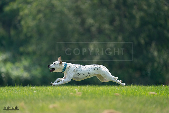 RielVisuals_20240727_120918_SJR04810