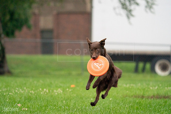RielVisuals_20240722_194230_SJR01865
