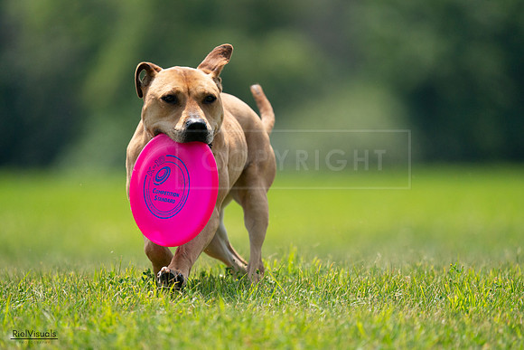 RielVisuals_20240727_131655_SJR07473