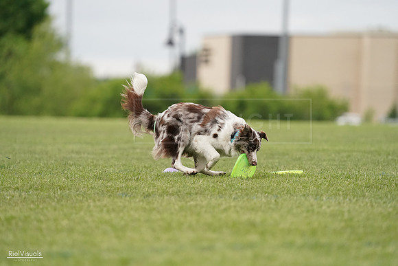 RielVisuals_20240526_132947_SJR07983