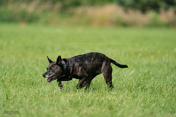 RielVisuals_20240728_103748_SJR08665