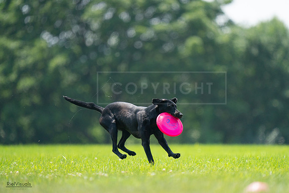 RielVisuals_20240727_131043_SJR07110