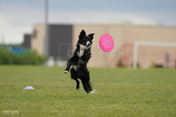RielVisuals_20240527_132136_SJR09501