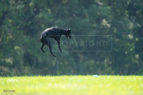 RielVisuals_20240727_122720_SJR05583