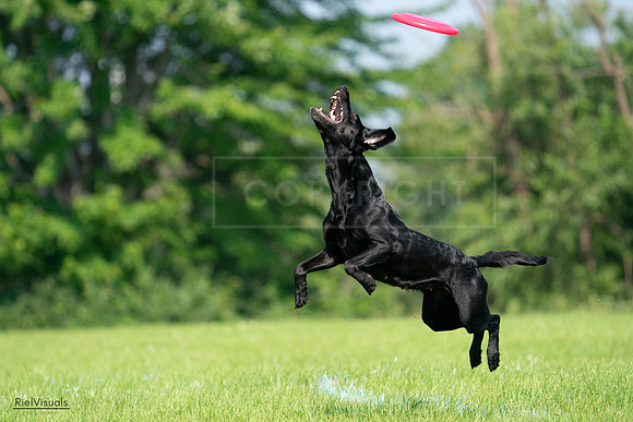 RielVisuals_20240727_100913_SJR08663