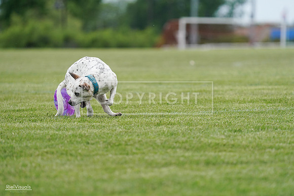 RielVisuals_20240525_160358_SJR03392