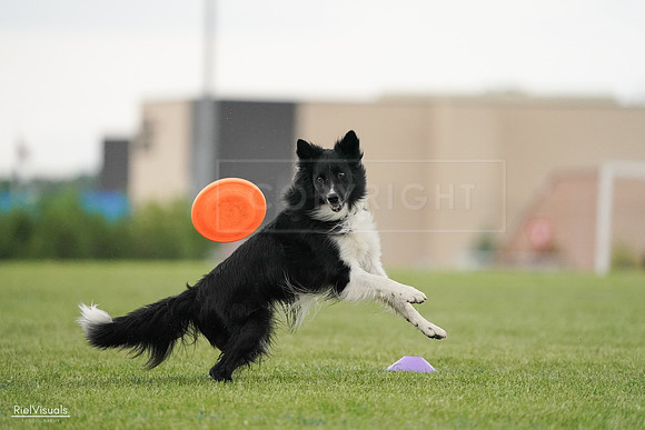 RielVisuals_20240526_095518_SJR01390