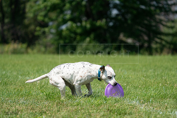 RielVisuals_20240728_120549_SJR02860