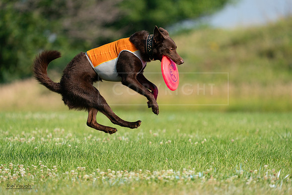 RielVisuals_20240727_092538_SJR06350