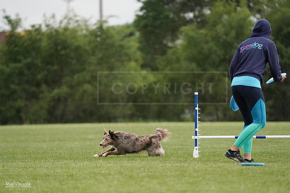 RielVisuals_20240526_092611_SJR00019