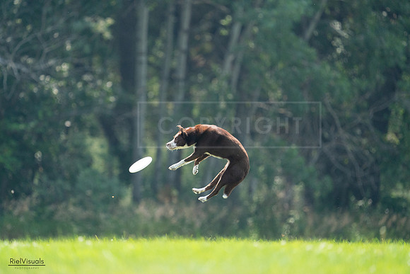 RielVisuals_20240727_122940_SJR05649