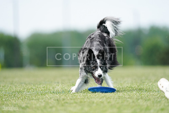 RielVisuals_20240525_124450_SJR01155