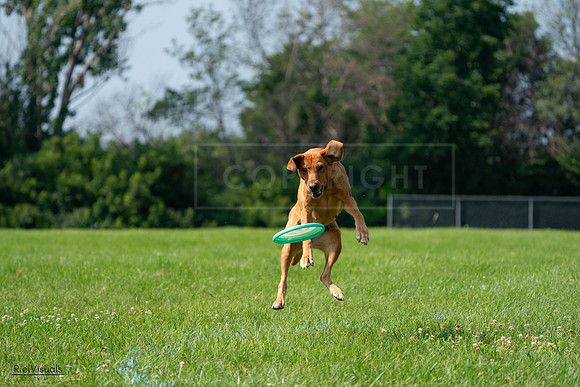 RielVisuals_20240728_103943_SJR08781