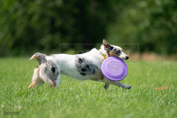 RielVisuals_20240727_140108_SJR09324