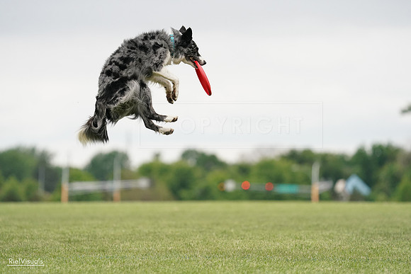 RielVisuals_20240526_133237_SJR08173