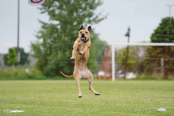 RielVisuals_20240526_131521_SJR07254