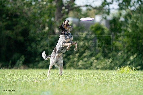 RielVisuals_20240728_143447_SJR08582