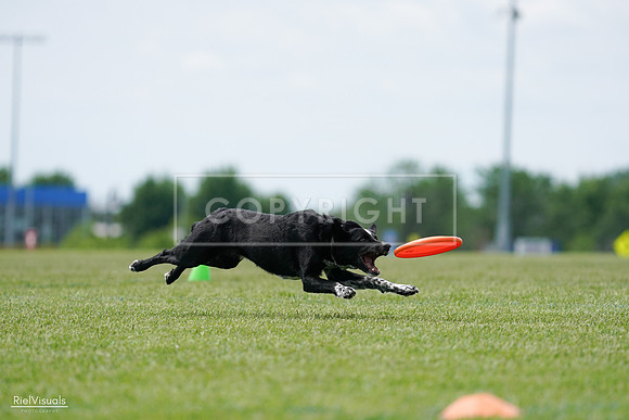 RielVisuals_20240525_124900_SJR01220