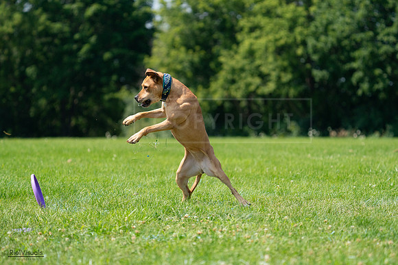 RielVisuals_20240728_114548_SJR01932