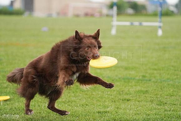RielVisuals_20240526_094211_SJR00838