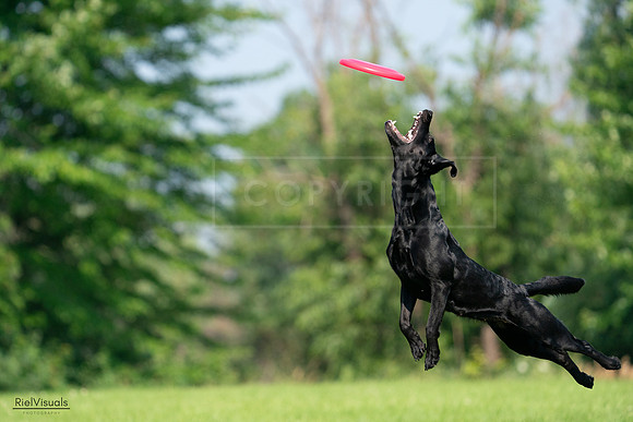 RielVisuals_20240727_100913_SJR08661
