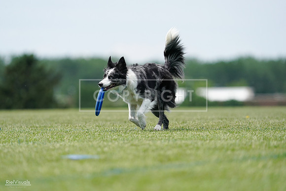 RielVisuals_20240525_124448_SJR01145