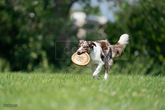 RielVisuals_20240727_115021_SJR04071