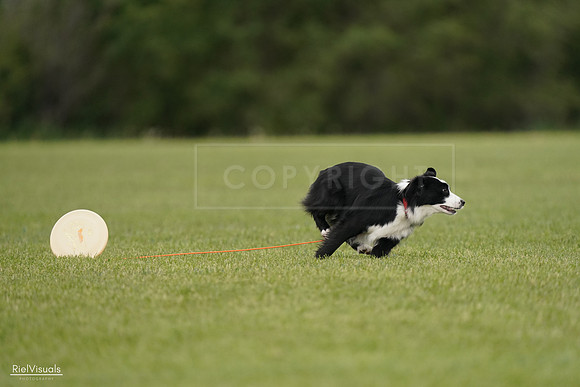 RielVisuals_20240527_143024_SJR02969