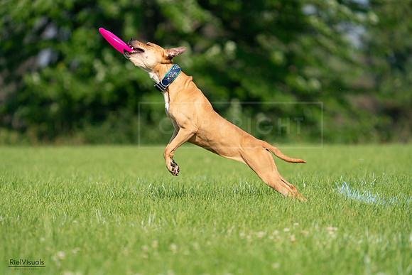 RielVisuals_20240727_093118_SJR06645