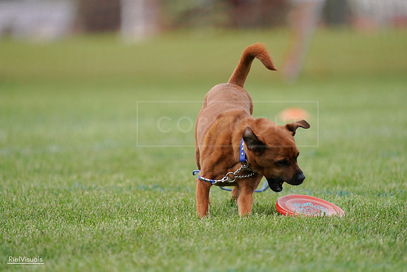 RielVisuals_20240527_141922_SJR02342