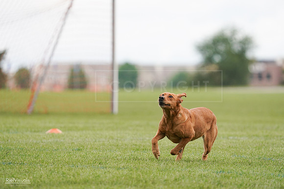 RielVisuals_20240527_141101_SJR01752