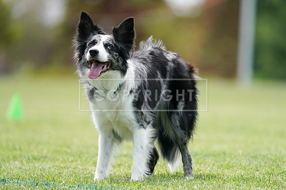RielVisuals_20240525_124327_SJR00978