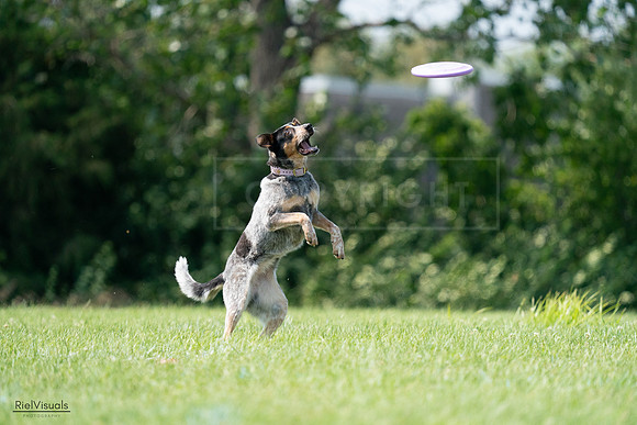 RielVisuals_20240728_143447_SJR08581