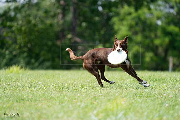 RielVisuals_20240728_144932_SJR09270