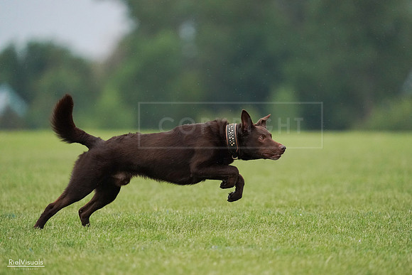 RielVisuals_20240527_090733_SJR05980