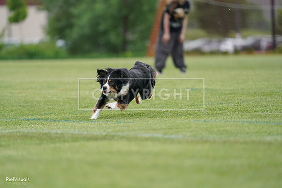 RielVisuals_20240525_164524_SJR05330