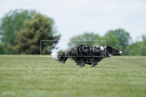 RielVisuals_20240525_124400_SJR01034