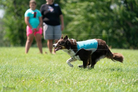 RielVisuals_20240728_144716_SJR09116