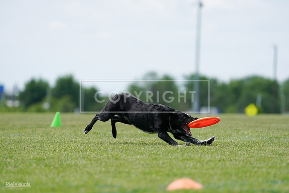 RielVisuals_20240525_124900_SJR01221