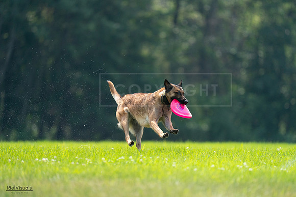 RielVisuals_20240727_123627_SJR05975