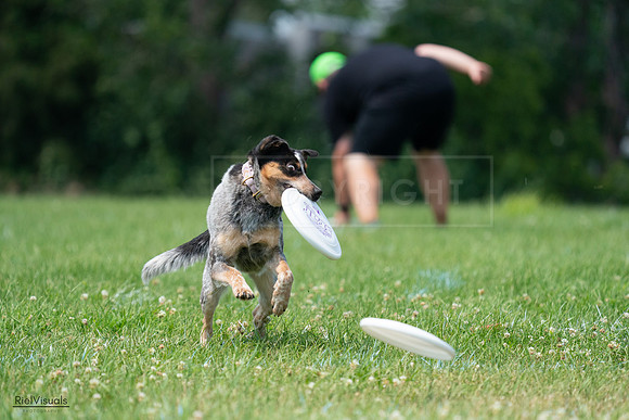 RielVisuals_20240727_133941_SJR07959